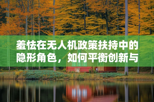 羞怯在无人机政策扶持中的隐形角色，如何平衡创新与公众接受度？