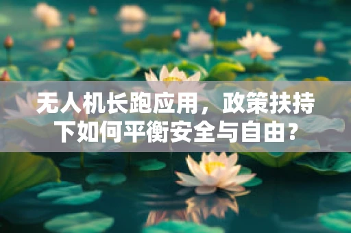 无人机长跑应用，政策扶持下如何平衡安全与自由？