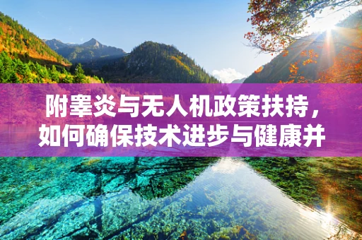 附睾炎与无人机政策扶持，如何确保技术进步与健康并重？