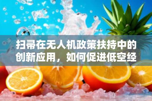 扫帚在无人机政策扶持中的创新应用，如何促进低空经济新增长点？