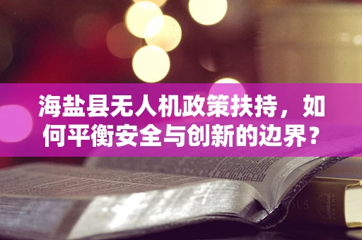 海盐县无人机政策扶持，如何平衡安全与创新的边界？