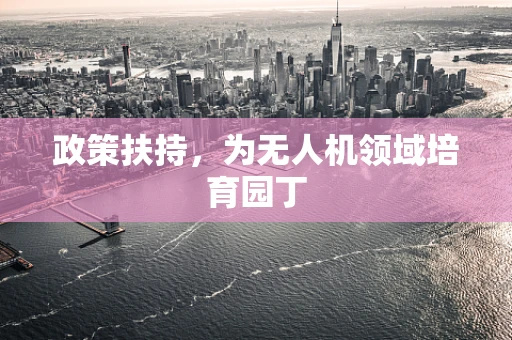 政策扶持，为无人机领域培育园丁