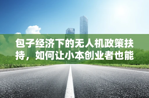 包子经济下的无人机政策扶持，如何让小本创业者也能飞得高？