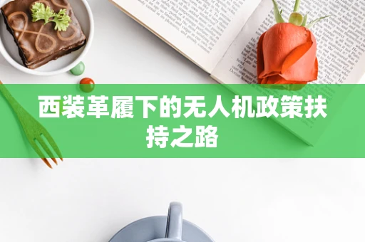 西装革履下的无人机政策扶持之路