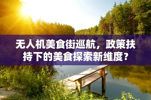 无人机美食街巡航，政策扶持下的美食探索新维度？