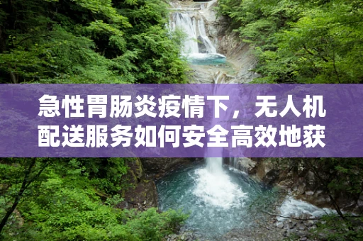 急性胃肠炎疫情下，无人机配送服务如何安全高效地获得政策扶持？