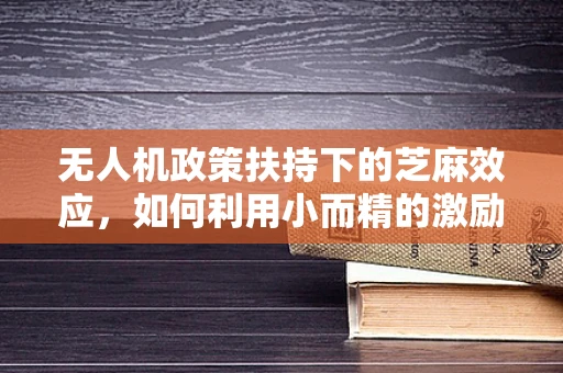 无人机政策扶持下的芝麻效应，如何利用小而精的激励措施激发大创新？