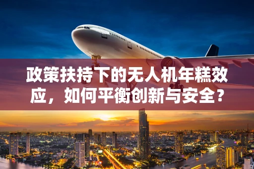 政策扶持下的无人机年糕效应，如何平衡创新与安全？