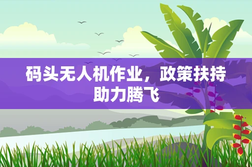 码头无人机作业，政策扶持助力腾飞