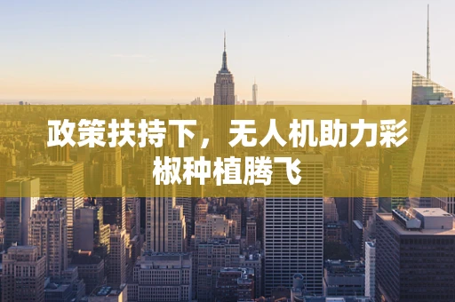 政策扶持下，无人机助力彩椒种植腾飞