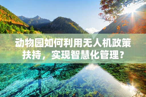 动物园如何利用无人机政策扶持，实现智慧化管理？