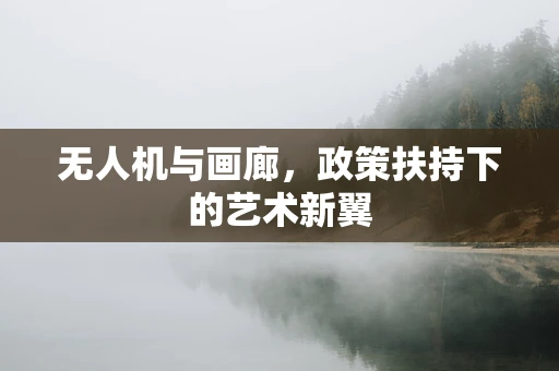 无人机与画廊，政策扶持下的艺术新翼