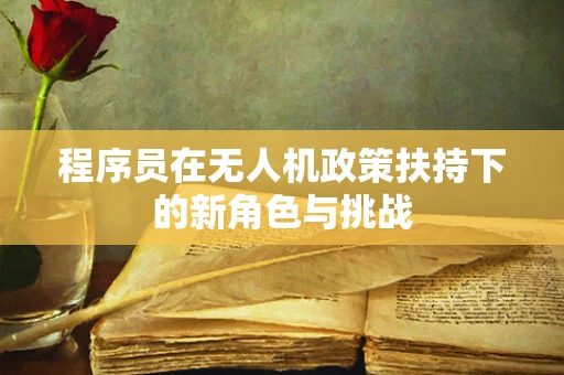 程序员在无人机政策扶持下的新角色与挑战