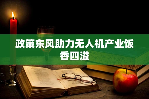 政策东风助力无人机产业饭香四溢