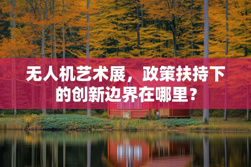 无人机艺术展，政策扶持下的创新边界在哪里？