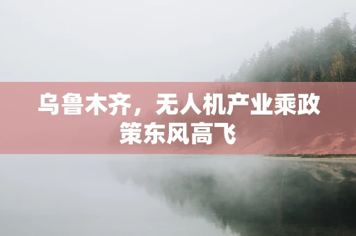 乌鲁木齐，无人机产业乘政策东风高飞