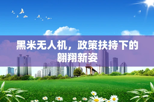 黑米无人机，政策扶持下的翱翔新姿