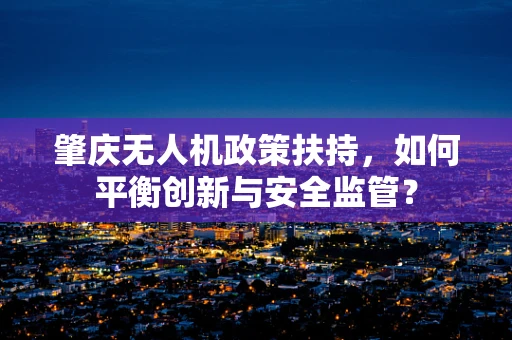 肇庆无人机政策扶持，如何平衡创新与安全监管？