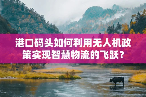 港口码头如何利用无人机政策实现智慧物流的飞跃？