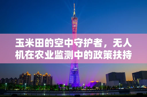 玉米田的空中守护者，无人机在农业监测中的政策扶持需求