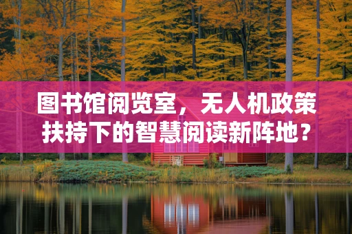 图书馆阅览室，无人机政策扶持下的智慧阅读新阵地？