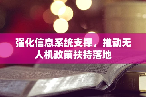 强化信息系统支撑，推动无人机政策扶持落地