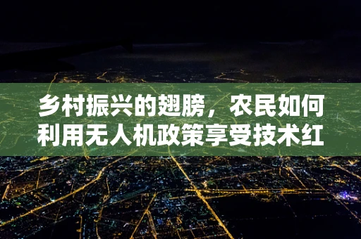 乡村振兴的翅膀，农民如何利用无人机政策享受技术红利？