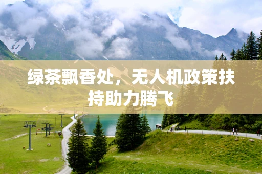 绿茶飘香处，无人机政策扶持助力腾飞
