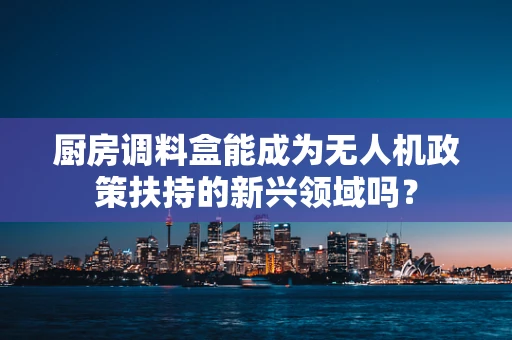 厨房调料盒能成为无人机政策扶持的新兴领域吗？