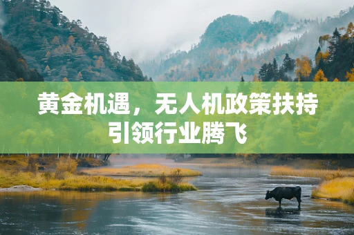黄金机遇，无人机政策扶持引领行业腾飞