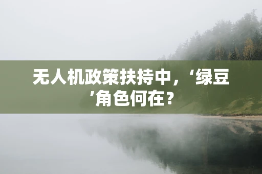 无人机政策扶持中，‘绿豆’角色何在？