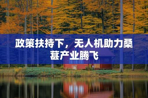 政策扶持下，无人机助力桑葚产业腾飞
