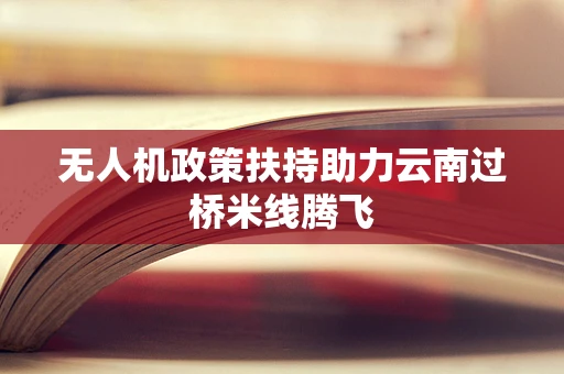 无人机政策扶持助力云南过桥米线腾飞