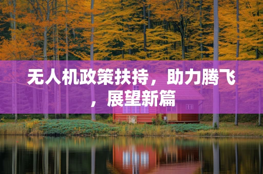 无人机政策扶持，助力腾飞，展望新篇
