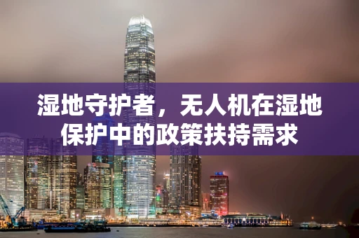 湿地守护者，无人机在湿地保护中的政策扶持需求