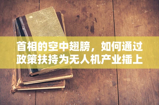 首相的空中翅膀，如何通过政策扶持为无人机产业插上腾飞之翼？