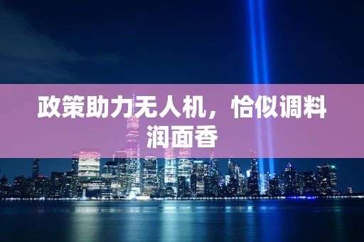 政策助力无人机，恰似调料润面香
