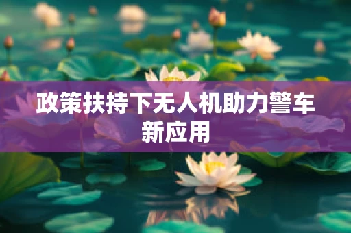 政策扶持下无人机助力警车新应用