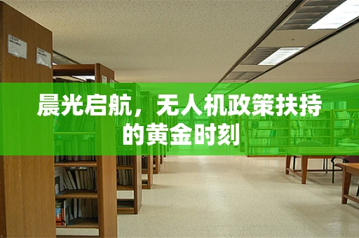 晨光启航，无人机政策扶持的黄金时刻