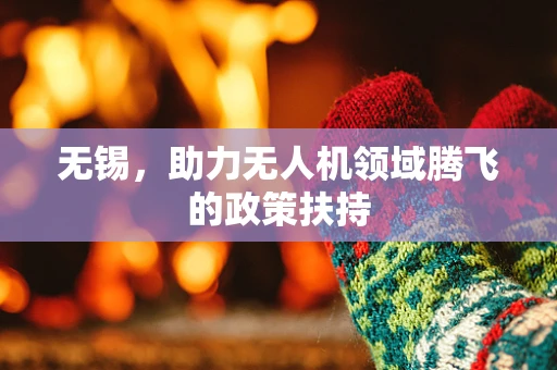 无锡，助力无人机领域腾飞的政策扶持