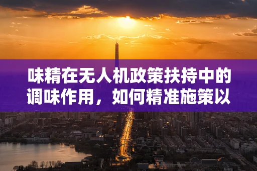 味精在无人机政策扶持中的调味作用，如何精准施策以激发创新潜力？