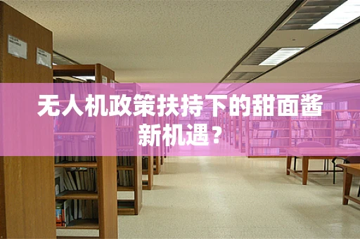无人机政策扶持下的甜面酱新机遇？