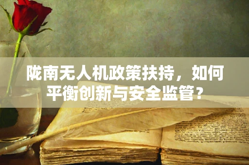 陇南无人机政策扶持，如何平衡创新与安全监管？