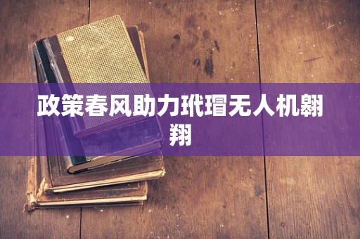 政策春风助力玳瑁无人机翱翔