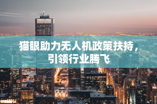 猫眼助力无人机政策扶持，引领行业腾飞