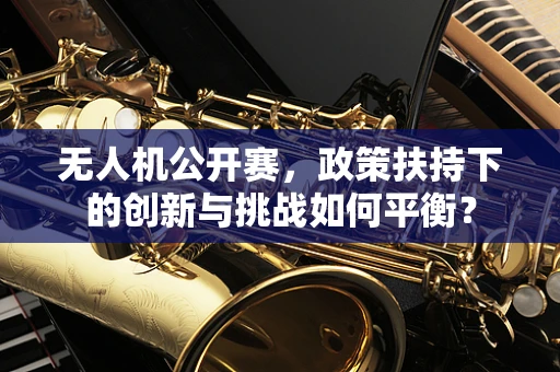 无人机公开赛，政策扶持下的创新与挑战如何平衡？