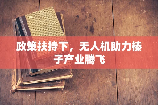 政策扶持下，无人机助力榛子产业腾飞