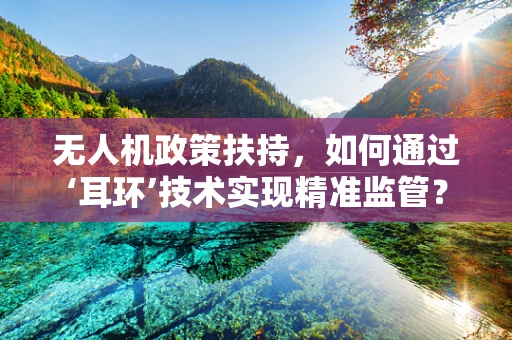 无人机政策扶持，如何通过‘耳环’技术实现精准监管？