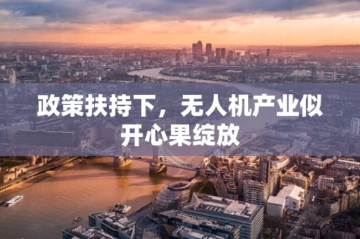 政策扶持下，无人机产业似开心果绽放
