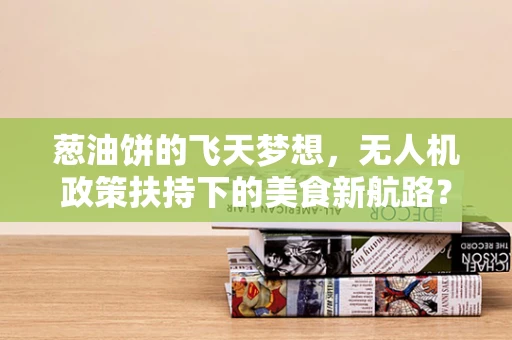 葱油饼的飞天梦想，无人机政策扶持下的美食新航路？